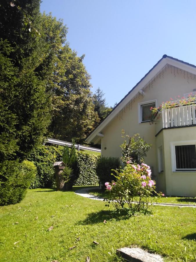 Apartments Irena Kranjska Gora Εξωτερικό φωτογραφία