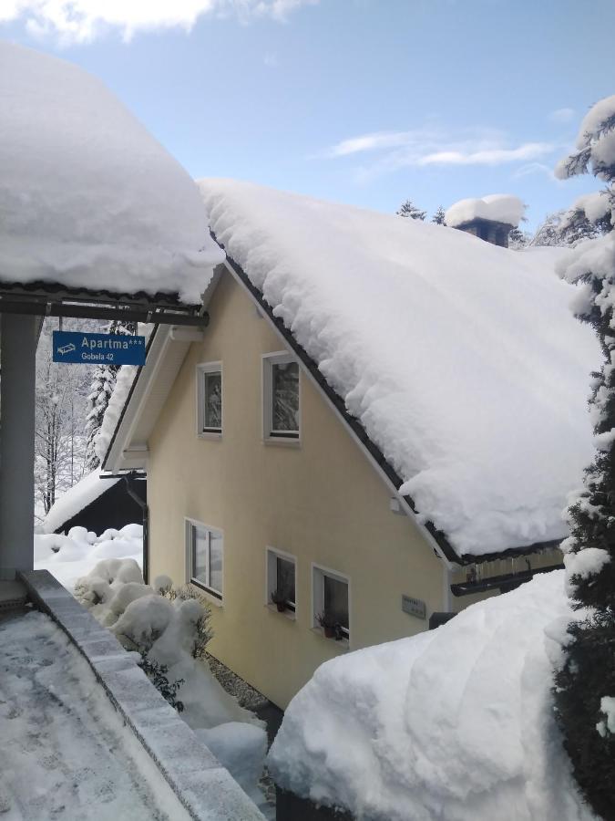 Apartments Irena Kranjska Gora Εξωτερικό φωτογραφία